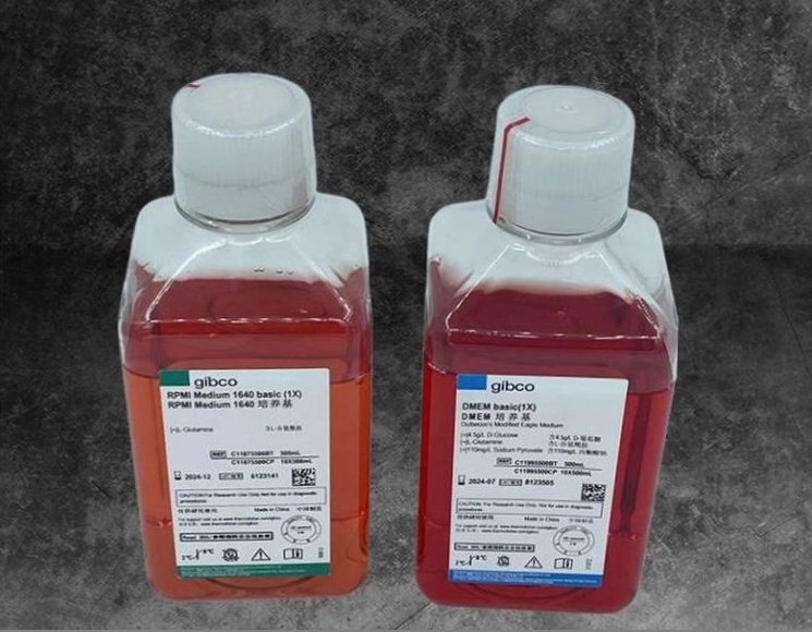 1732504800615765.jpg 培養基.jpg